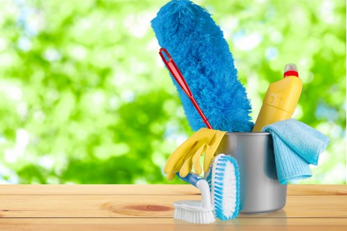 Pet stain odour removal cleaning process in a home carpet area