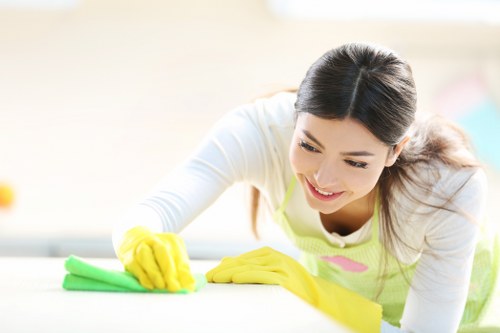 Spot cleaning a rug stain with a cloth and mild solution