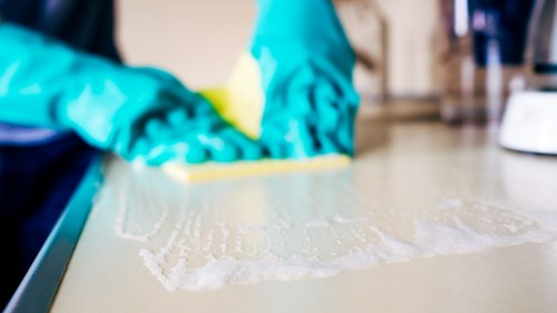 Deep cleaning approach for stubborn pet stain odour removal problems
