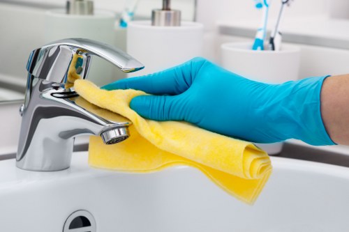 Home cleaning tools for pet stain odour removal and odor control